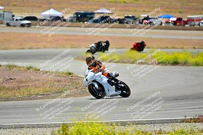 media/May-10-2024-2WTD (Fri) [[c88d7990af]]/Group C/Session 3-Turn 4 and 6/